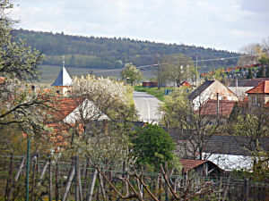 Slide foto - Ostrovánky