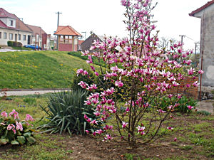 Slide foto - Ostrovánky