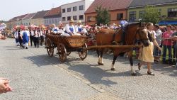 Slovácký rok v Kyjově