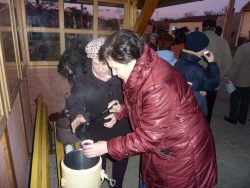 Zpívání u vánočního stromku