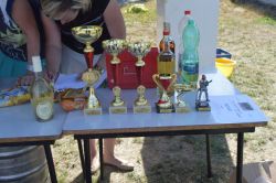 Požární útok v Ostrovánkách