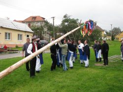 Hody - stavění máje (pátek)