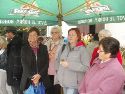 Stavění máje 2015