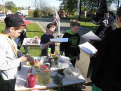 Pálení čarodějnic